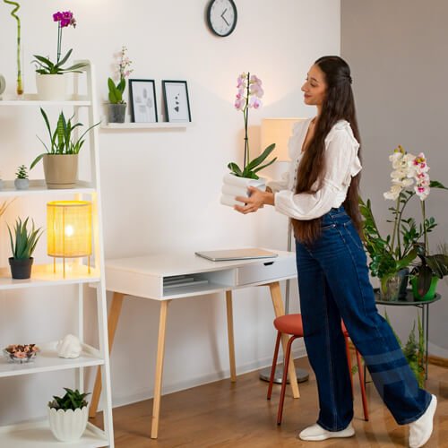 looking to build your next home